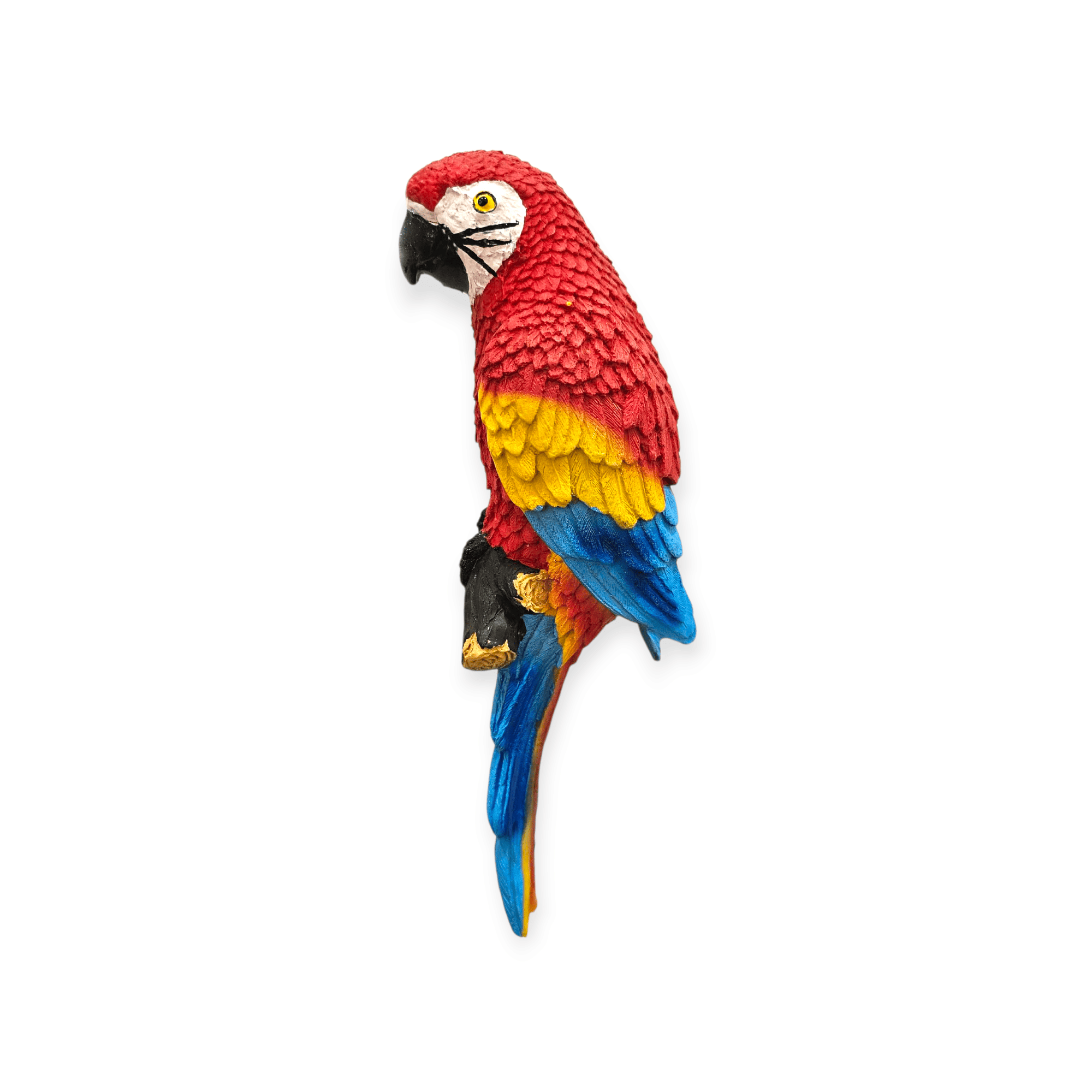 Macaw wall hanging